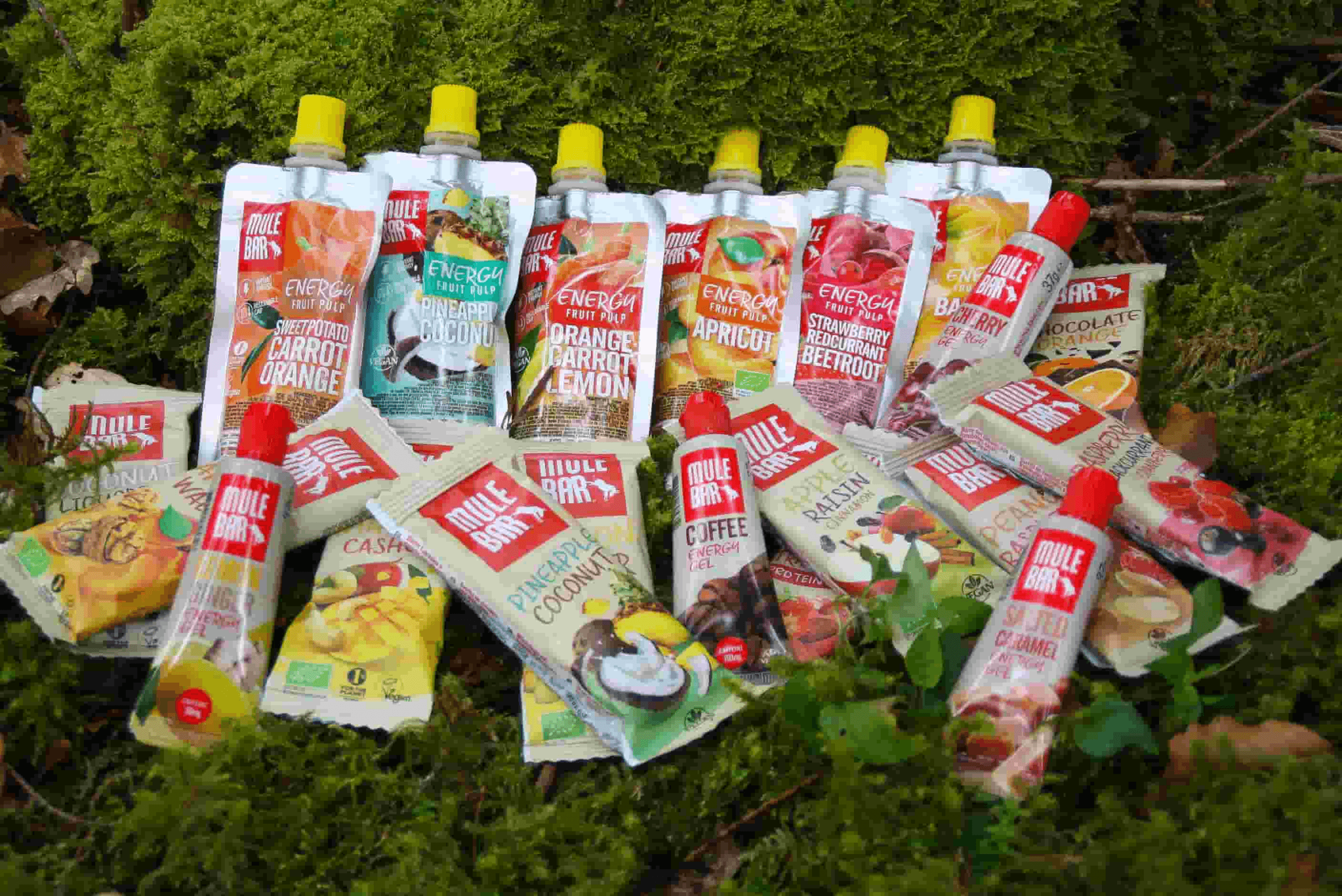 Discover MuleBar: Natural Energy for Your Journey