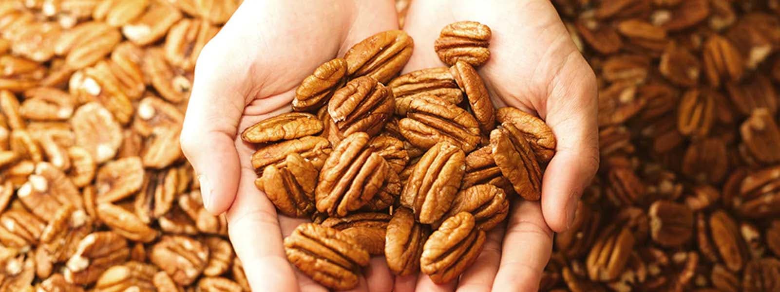 Millican Pecan Co Review: Freshness, Flavor, Value