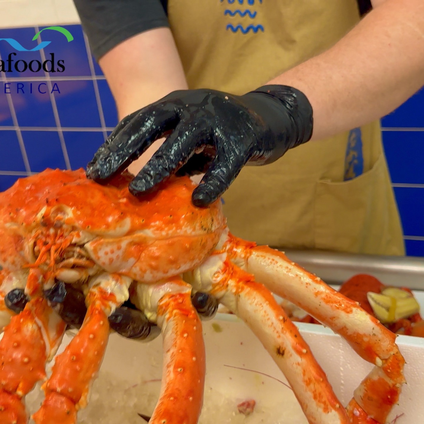 Product Selection and Quality at Global Seafoods