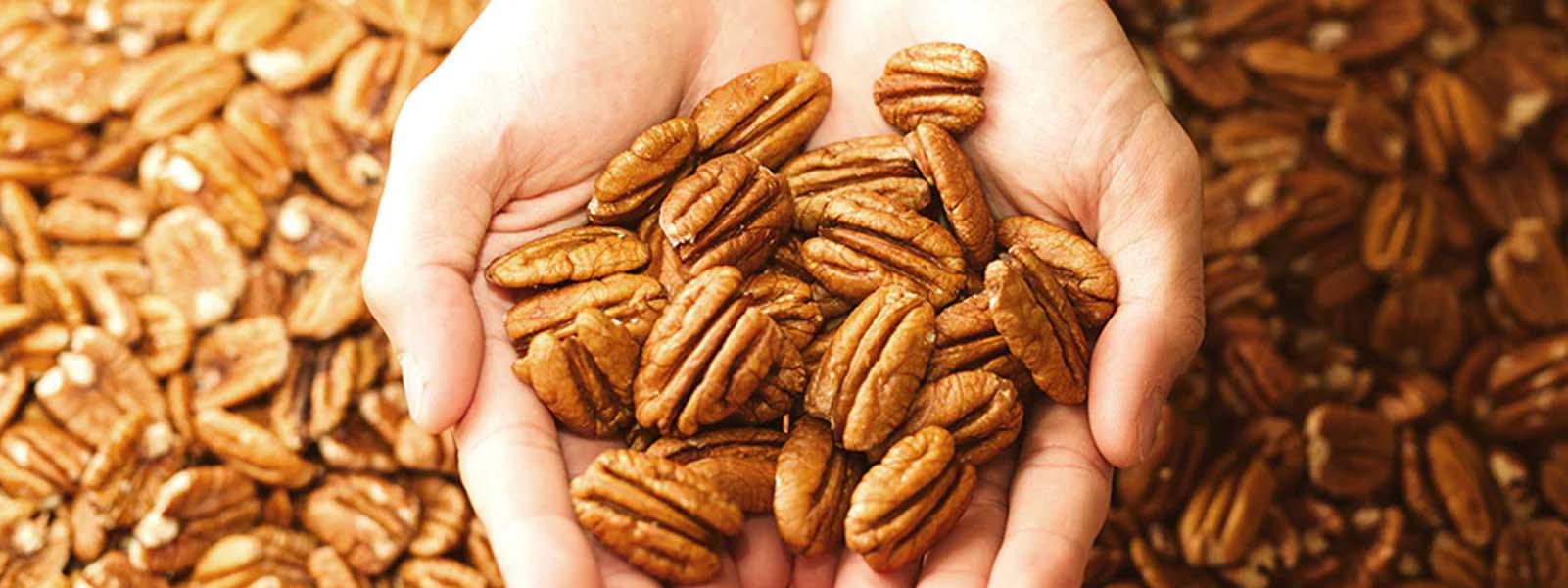 Freshness, Flavor, Value