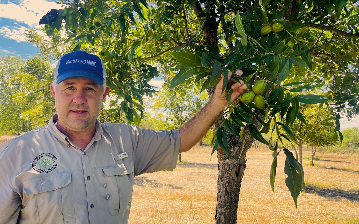 Who is Millican Pecan Co?