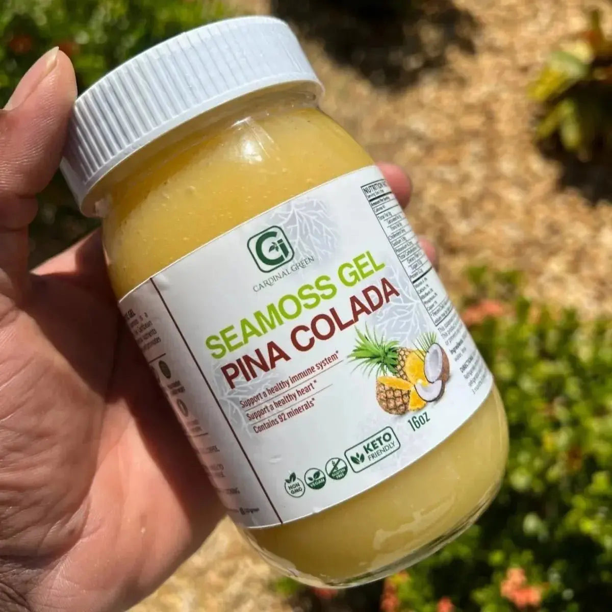 CGI Green Pina Colada sea moss gel